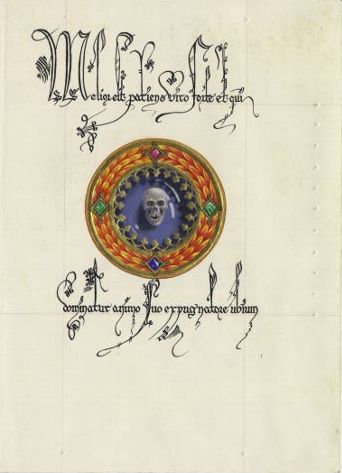 15th c. style illuminated Schiff Book art 7